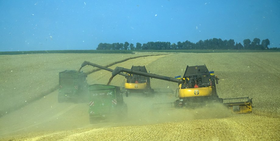 зерно, агропродукція, Україна