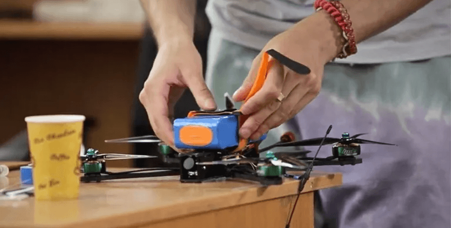 дрон, безпілотник, чайка, Ukrainian Crazy Animals