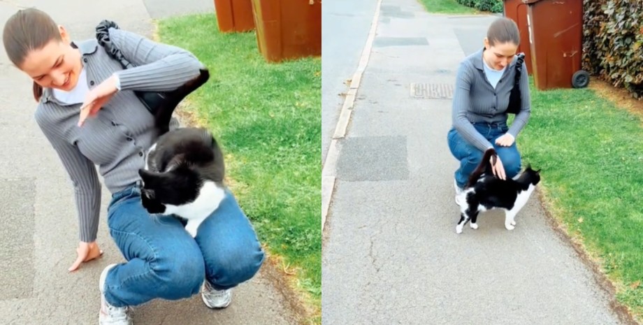 Женщина остановилась, чтобы погладить уличную кошку Женщина остановилась, чтобы погладить уличную кошку, а затем события приняли неожиданный оборот