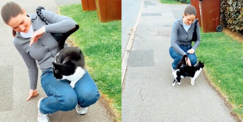 Женщина остановилась, чтобы погладить уличную кошку, а затем события приняли неожиданный оборот
