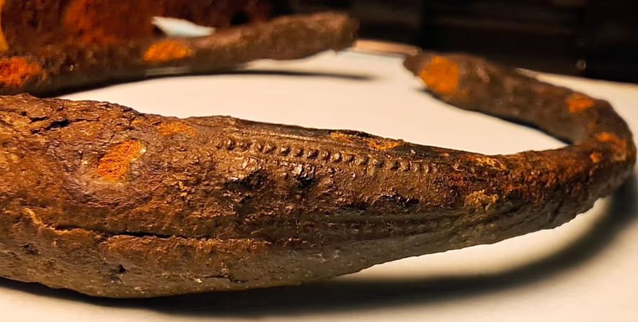 браслет, находка, викинги, артефакт, железо, археологи, археология, украшение