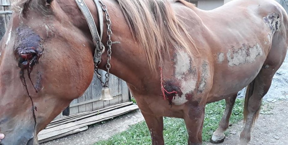 Фото с сайта УНИАН