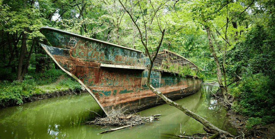 Военная история, Эдисон и Мадонна: что скрывает корабль-призрак в болотах