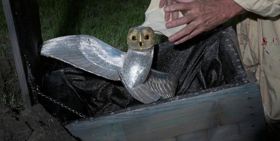 золотая сова золотая сова, охота за сокровищами, поиск сокровищ