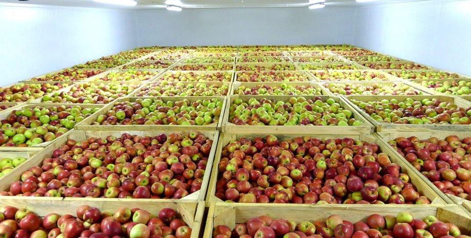 украинцы, заробитчане, погибли, чехия, холодильник, фрукты, фото