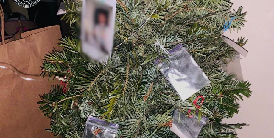Наркотики на ялинці: у Києві викрили наркоділка