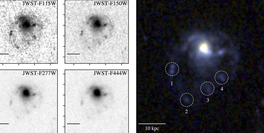 галактика медуза галактика медуза