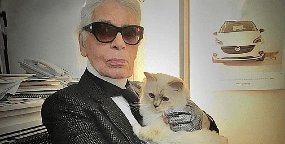 The owner of Shupett died in 2019. His beloved cat has become a heir and continu...