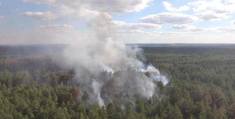 Фото: dsns.gov.ua