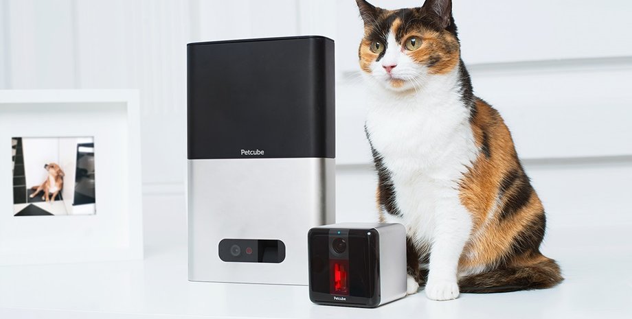 Фото: Kickstarter