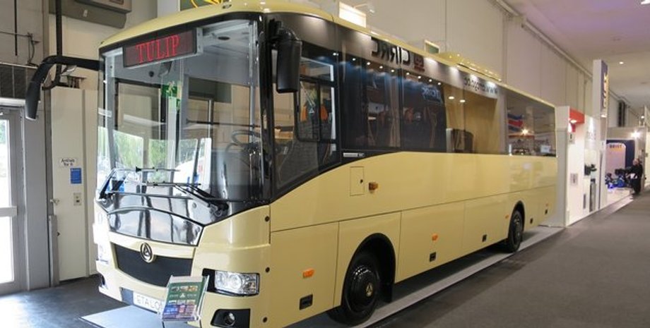 А084 Tulip/Фото: Wikimedia