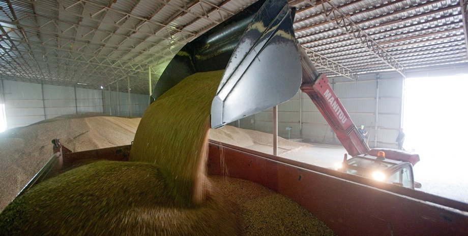 Зерно / www.goodvin.info