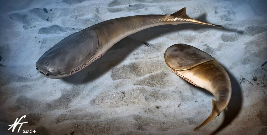 Какой была жизнь на Земле 445 миллионов лет назад