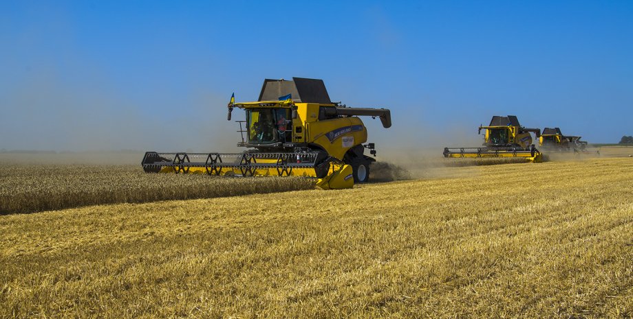 урожай 2022, уборка урожая, урожай зерновых, цены на зерновые в Украине, урожай пшеницы, урожайность зерновых 2022,