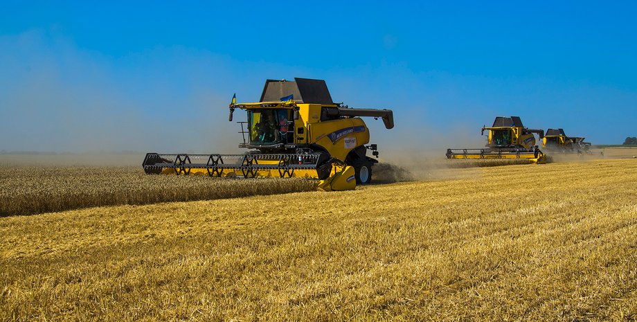 урожай 2022, уборка урожая, урожай зерновых, цены на зерновые в Украине, урожай пшеницы, урожайность зерновых 2022,