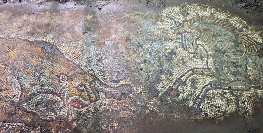Римьска мозаїка Діяли на підставі оперативної інформації: у Туреччині врятували 1500-річну мозаїку від контрабандистів (фото)0