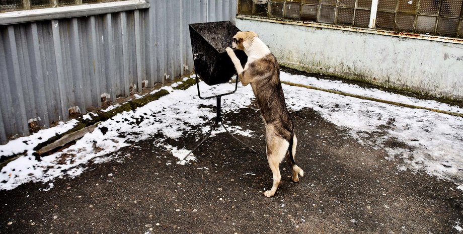 Фото: cleanfutures.org