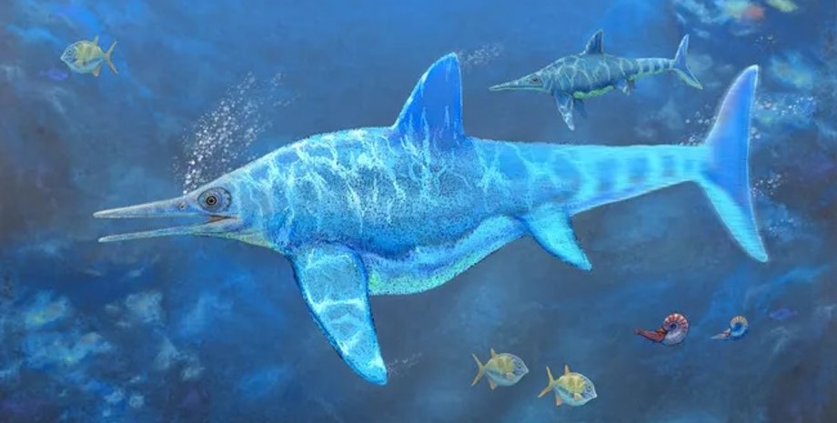 іхтіозавр, іхтіозавр фіона