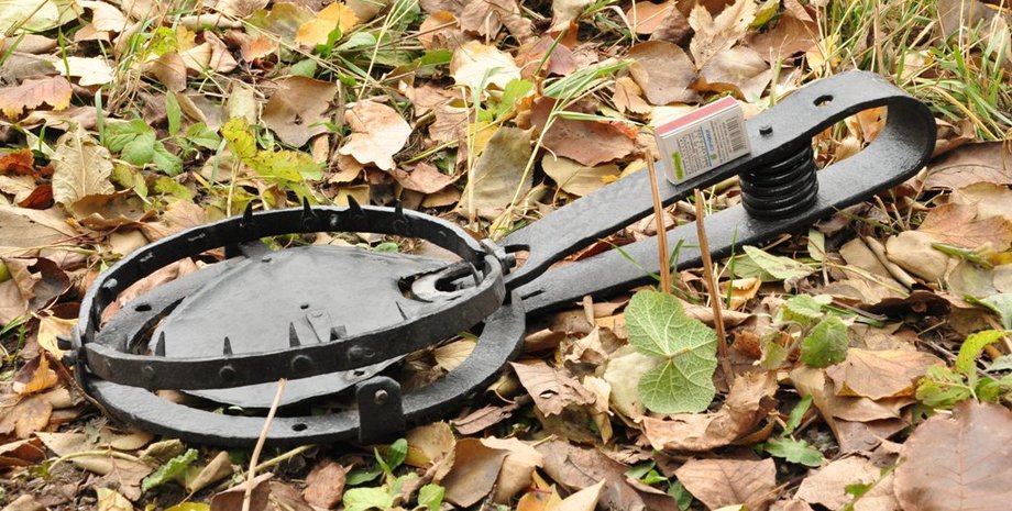 Фото: ecoethics.ru