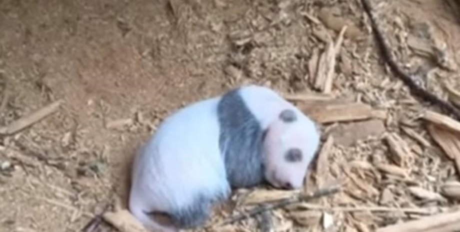 Кадр из видео