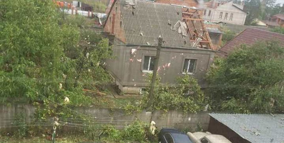 Фото: Гречка