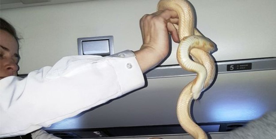 Фото: АР/bbc.com