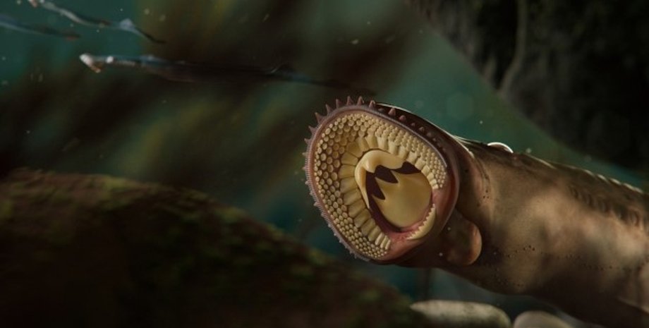 рыба, минога, древняя минога