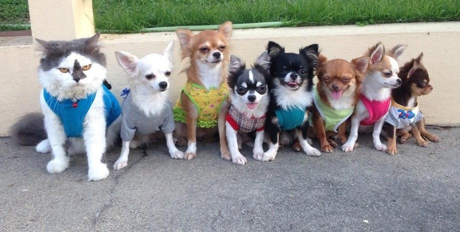 Фото: instagram.com/yutafamily