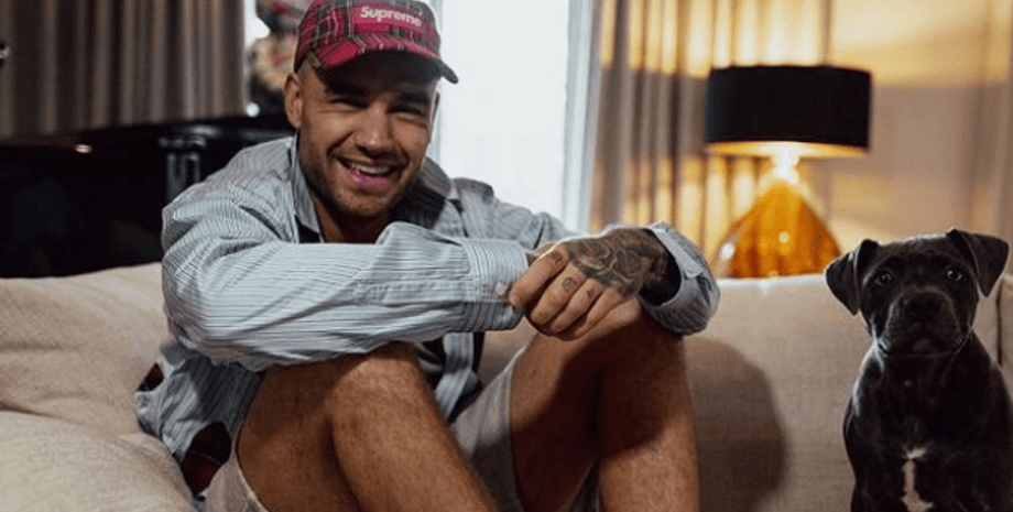 Лиам Пейн, комната, собака