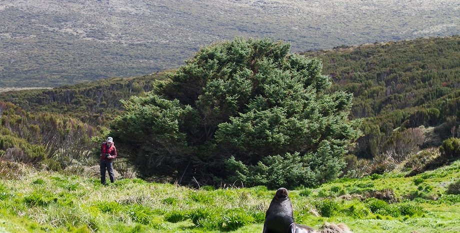 Фото: amusingplanet