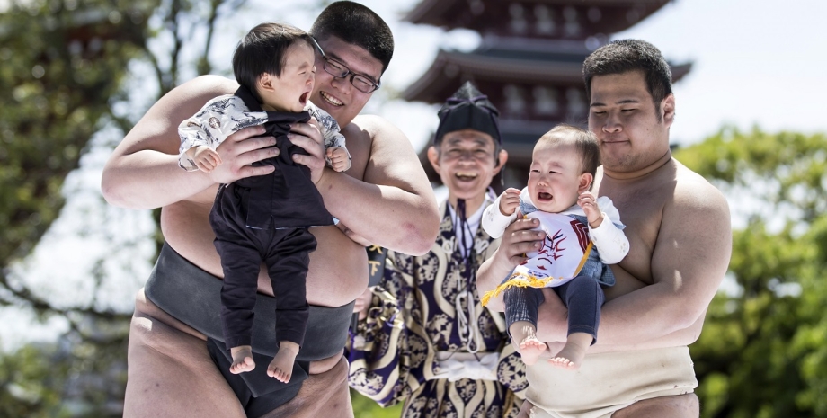 Фестиваль Накидзумо, япония, плачущие младенцы, плачущее сумо, сумо