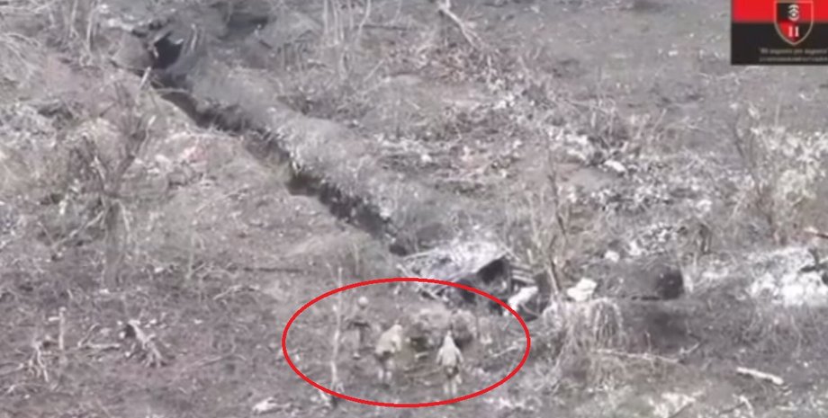 Куп'янський напрямок, війна в україні, синьківка, штурм позицій, зсу, новини харкова