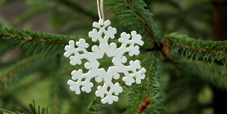 як вибрати ялинку, вибір новорічної ялинки, корисні поради, поради щодо вибору новорічної ялинки