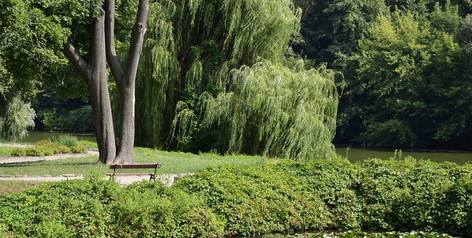 Фото: Photo.i.ua/user/2482481