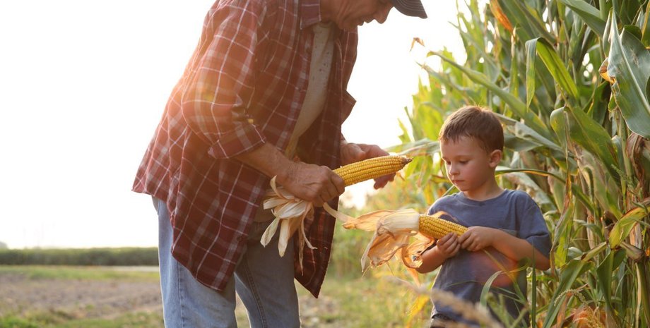 пошлины на импорт из Украины, торговый безвиз, торговый безвиз отменят