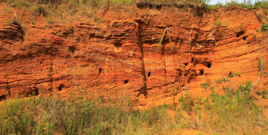 дослідники виявили незвичайні тунелі