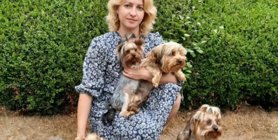 Украинка с йоркширскими терьерами, беженцы в Великобританиии,