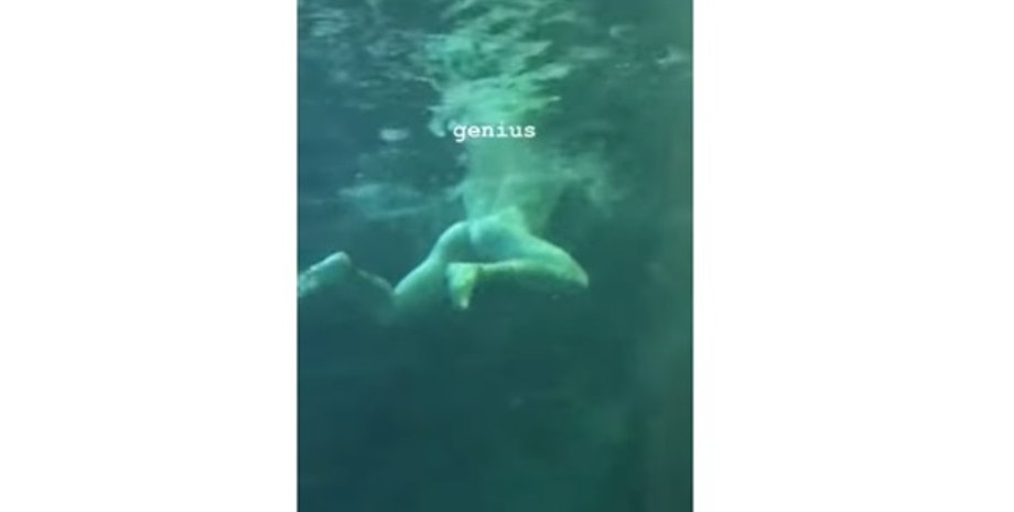 Фото: кадр из видео