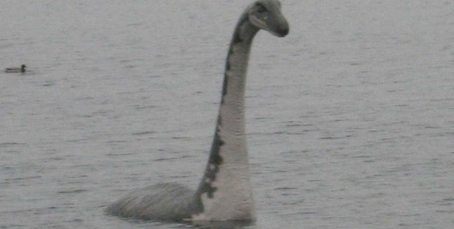 Иллюстрация Kevin Sr.