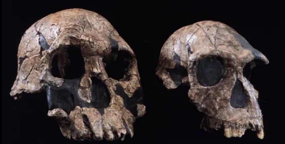 древние люди череп