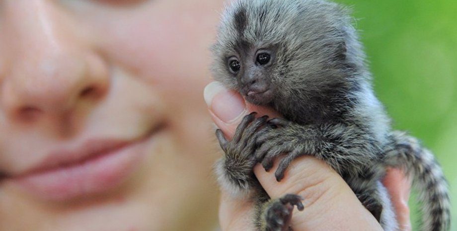 Фото: putnik Кыргызстан