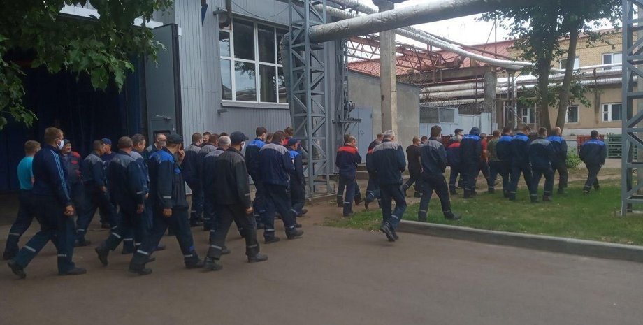 Фото:  Telegram / Новоселов