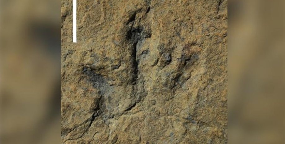 Слід тероподу, скам'янілість, динозавр