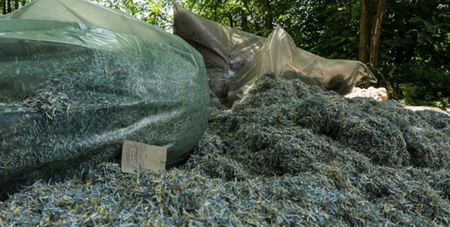 Фото: dp.informator.ua