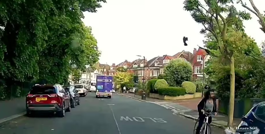 Мешканці Дулвіча тероризують ворони, Велика Британія, курйози, приколи, фото