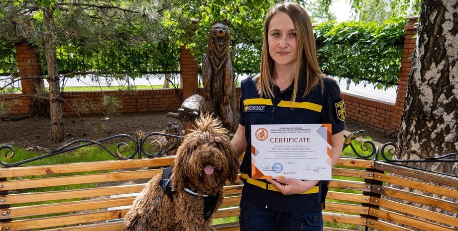 Собака, психолог, ГСЧС