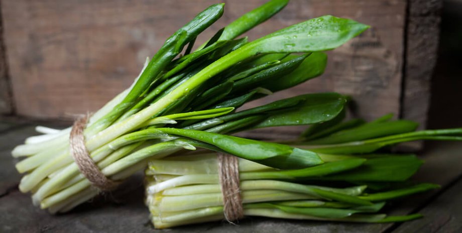 черемша, черемша рецепты, что приготовить из черемши, деруны с черемшой, черемша салат