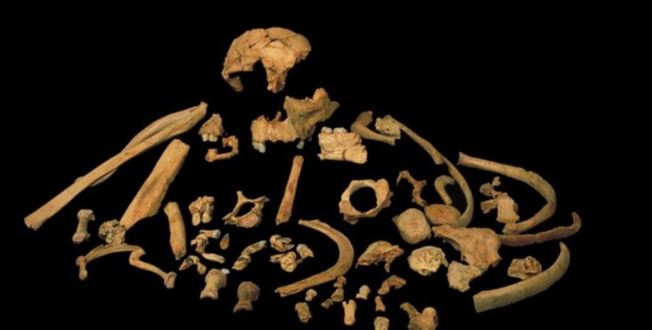 Фото: Professor José María Bermúdez de Castro