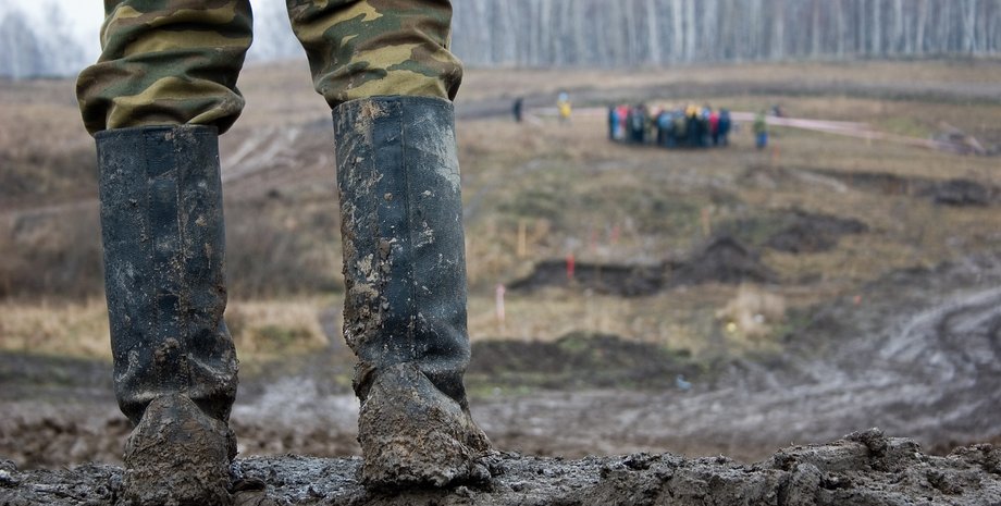 Фото: romanwhite / Getty Images