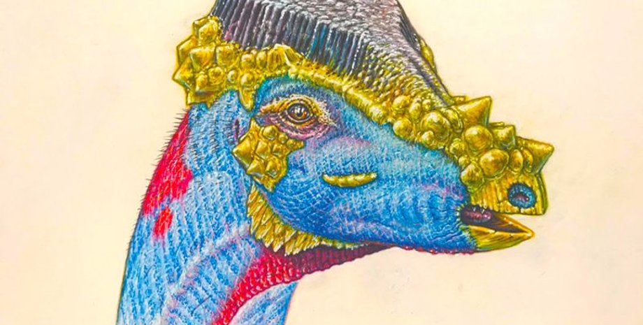 виды динозавров, новый вид, динозавр, открытие, череп, окаменелость, кератин, научная статья, палеонтология, сосуды, исследования, палеонтология, древние животные